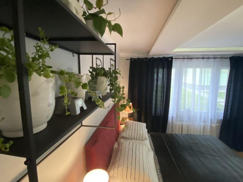 Apartament ,, Sen I Kawa" - Komfortowy Nocleg W Sercu Aglomeracji Битом Екстериор снимка
